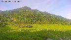 area1-20250719054020.jpg