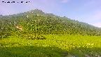area1-20250719062021.jpg