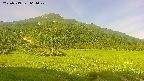 area1-20250719064024.jpg