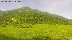 area1-20250719071030.jpg