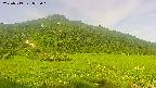 area1-20250719072020.jpg