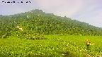 area1-20250719073020.jpg