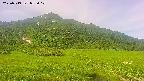 area1-20250719075019.jpg