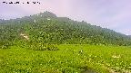area1-20250719080019.jpg
