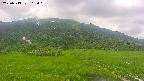 area1-20250719113019.jpg