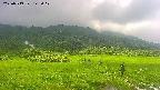 area1-20250719143020.jpg