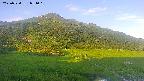 area1-20250720051020.jpg
