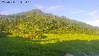 area1-20250720052021.jpg
