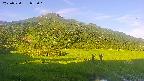 area1-20250720053019.jpg