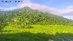 area1-20250720061018.jpg