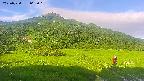 area1-20250720062019.jpg