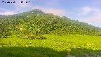 area1-20250720063017.jpg