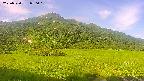 area1-20250720070017.jpg