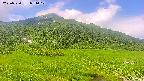 area1-20250720091020.jpg