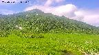 area1-20250720092019.jpg
