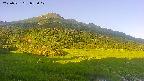 area1-20250721052019.jpg