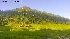 area1-20250721054019.jpg
