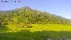 area1-20250721055020.jpg