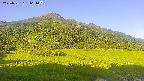 area1-20250721061020.jpg