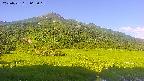 area1-20250721062021.jpg