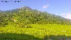 area1-20250721064018.jpg