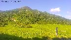 area1-20250721070017.jpg