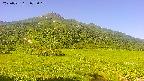 area1-20250721073020.jpg