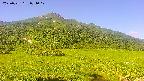 area1-20250721074023.jpg
