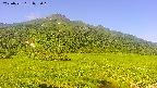 area1-20250721075020.jpg