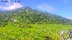 area1-20250721081021.jpg