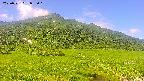 area1-20250721085021.jpg