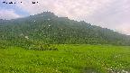 area1-20250721174020.jpg
