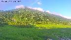 area1-20250722050019.jpg