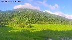 area1-20250722054018.jpg