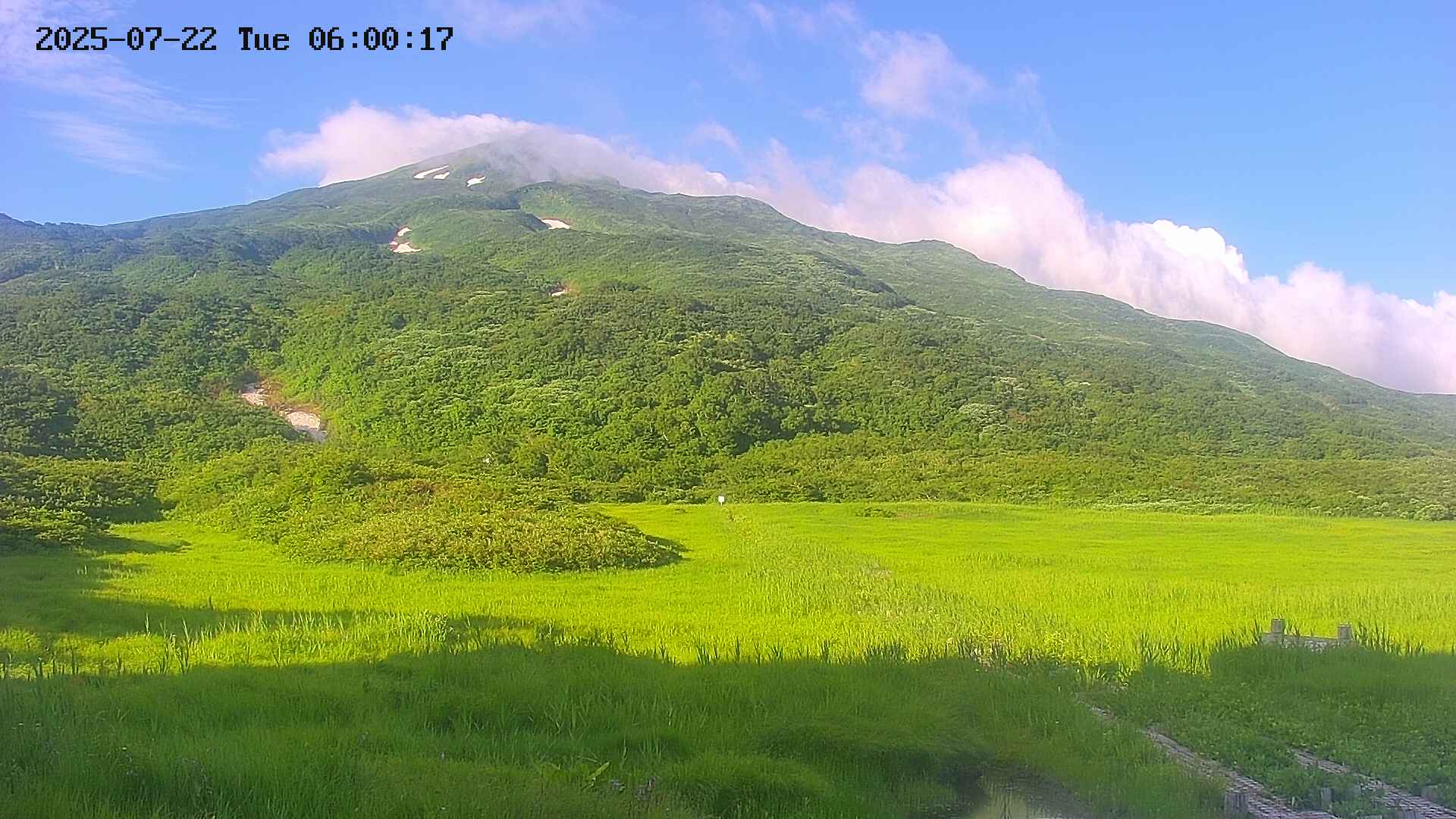 area1-20250722060019.jpg