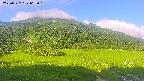 area1-20250722062020.jpg