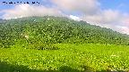 area1-20250722071019.jpg