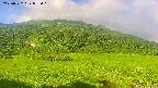 area1-20250722072018.jpg
