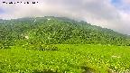 area1-20250722074020.jpg