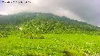 area1-20250722075020.jpg