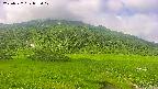 area1-20250722085019.jpg