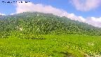 area1-20250722091017.jpg