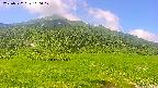 area1-20250722100019.jpg
