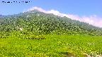 area1-20250722101020.jpg