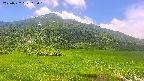 area1-20250722113020.jpg