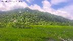 area1-20250722115019.jpg
