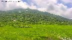 area1-20250722124025.jpg