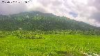 area1-20250722130020.jpg