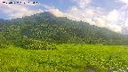 area1-20250722163020.jpg