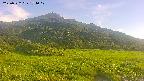 area1-20250722174020.jpg
